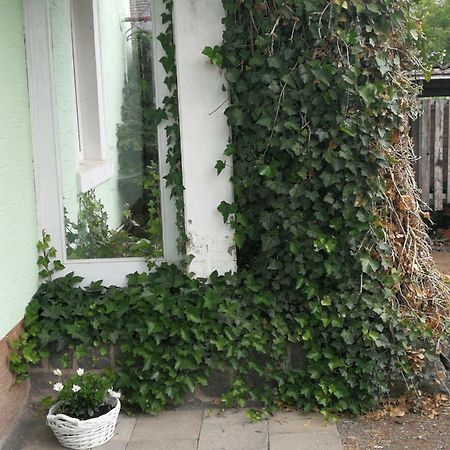 Appartement Eifel Im Haus Sybille 켈베르크 외부 사진
