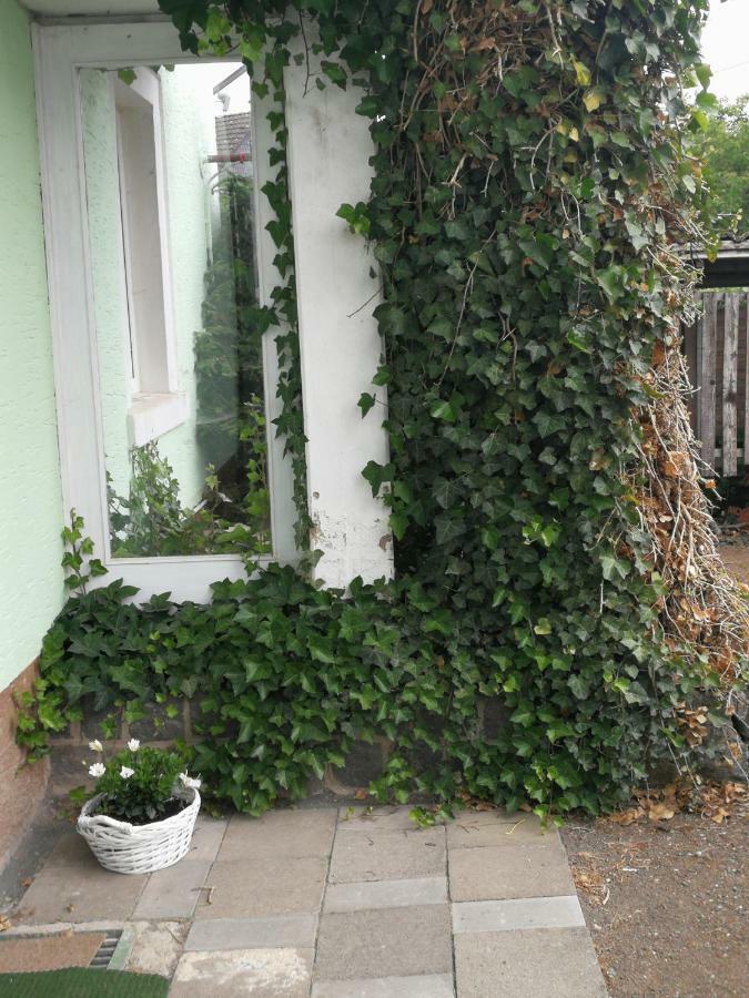 Appartement Eifel Im Haus Sybille 켈베르크 외부 사진